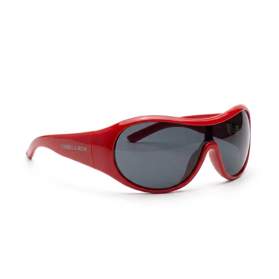 Carrera Glasses